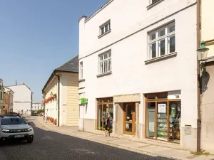 Pronájem obchodního prostoru, Karviná, Fryštátská, 54 m2