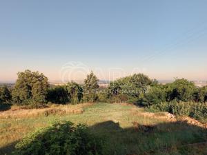 Prodej sadu/vinice, Mělník, Hroznová, 15406 m2