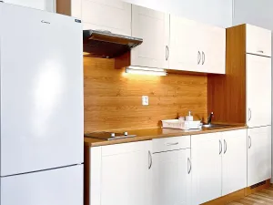 Pronájem bytu 1+kk, Praha - Vinohrady, Dykova, 44 m2