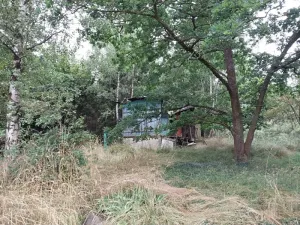 Prodej lesa, Hospříz, 1133 m2