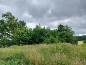 Prodej lesa, Hospříz, 1133 m2