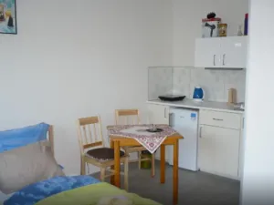 Pronájem bytu 1+kk, Praha, Formanská, 25 m2