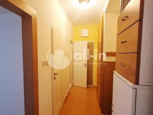 Prodej bytu 2+1, Vyškov - Vyškov-Předměstí, Sochorova, 56 m2