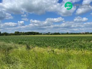 Prodej pole, Prostějov, 13852 m2