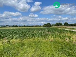 Prodej pole, Prostějov, 13852 m2