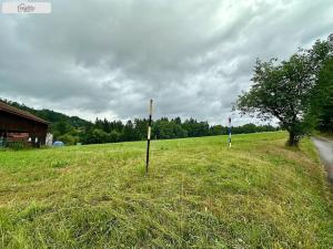 Prodej pozemku, Slaná - Nedvězí, 6106 m2