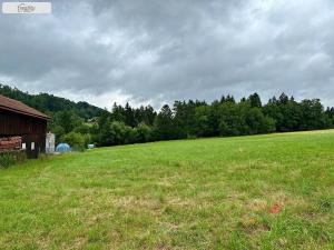 Prodej pozemku, Slaná - Nedvězí, 6106 m2