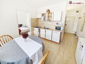 Prodej bytu 1+1, Lovosice, Osvoboditelů, 35 m2