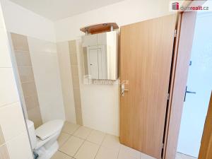 Prodej bytu 1+1, Lovosice, Osvoboditelů, 35 m2
