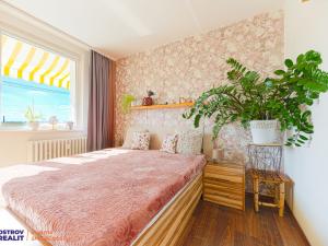 Prodej bytu 3+1, Olomouc, U cukrovaru, 71 m2