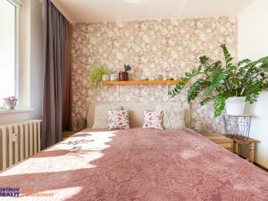 Prodej bytu 3+1, Olomouc, U cukrovaru, 71 m2