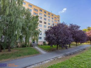 Prodej bytu 3+1, Olomouc, U cukrovaru, 71 m2