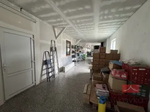 Prodej komerční nemovitosti, Zruč nad Sázavou - Nesměřice, 1095 m2