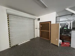 Prodej komerční nemovitosti, Zruč nad Sázavou - Nesměřice, 1095 m2