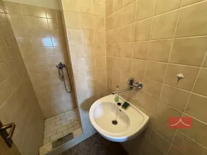 Prodej komerční nemovitosti, Zruč nad Sázavou - Nesměřice, 1095 m2