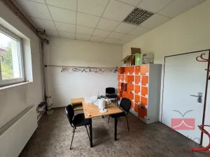 Prodej komerční nemovitosti, Zruč nad Sázavou - Nesměřice, 1095 m2