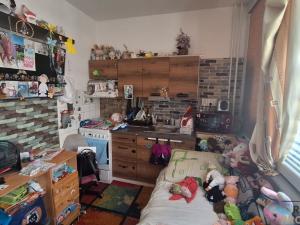Prodej bytu 1+1, Roudnice nad Labem, Alej 17. listopadu, 30 m2