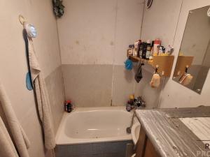 Prodej bytu 1+1, Roudnice nad Labem, Alej 17. listopadu, 30 m2