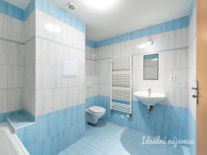 Pronájem bytu 1+kk, Praha - Černý Most, Dobrovolného, 31 m2