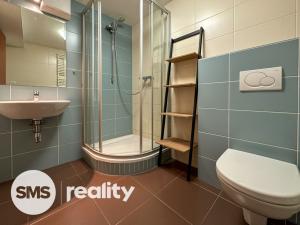 Pronájem bytu 1+kk, Opava - Město, Popská, 31 m2