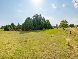 Prodej pozemku pro bydlení, Velký Bor, 921 m2