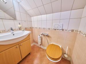 Prodej rodinného domu, Vlčice, 180 m2