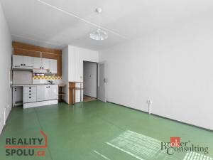 Prodej bytu 1+kk, Hradec Králové - Nový Hradec Králové, Jana Masaryka, 35 m2
