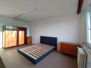 Pronájem bytu 2+1, Plzeň - Jižní Předměstí, U Borského parku, 60 m2