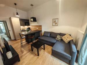Pronájem bytu 2+kk, Praha - Žižkov, Chlumova, 31 m2