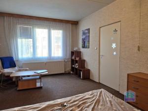 Pronájem bytu 1+1, Stříbro, Větrná, 39 m2