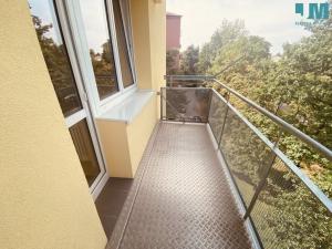 Pronájem bytu 2+kk, Jihlava, Sokolovská, 56 m2