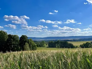 Prodej pozemku pro bydlení, Broumov, 3146 m2