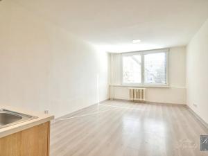 Pronájem bytu 1+kk, Ústí nad Labem, Rozcestí, 27 m2