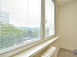 Pronájem bytu 1+kk, Ústí nad Labem, Rozcestí, 27 m2