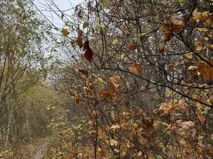 Prodej pozemku, Praha, 9174 m2