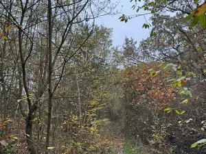 Prodej pozemku, Praha, 9174 m2