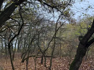 Prodej pozemku, Praha, 9174 m2