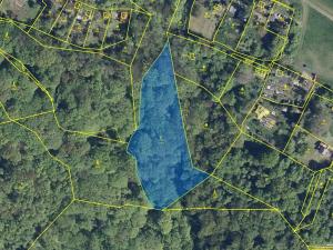 Prodej podílu lesa, Ústí nad Labem, 1184 m2