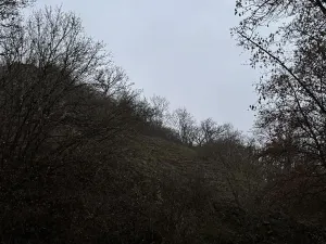 Prodej podílu lesa, Praha, 4596 m2