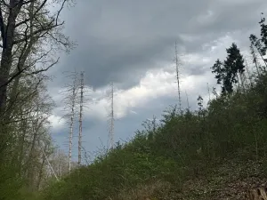 Prodej pozemku, Boršov nad Vltavou, 7673 m2