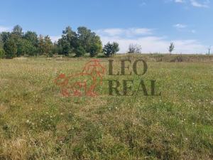 Prodej pozemku pro bydlení, Xaverov, 5500 m2