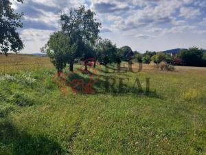 Prodej pozemku pro bydlení, Xaverov, 5500 m2