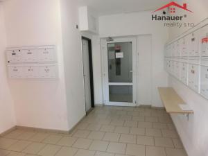 Pronájem bytu 2+1, Ústí nad Labem - Střekov, Tolstého, 60 m2