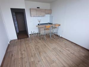 Pronájem bytu 1+kk, Ústí nad Labem - Ústí nad Labem-centrum, Hoření, 22 m2