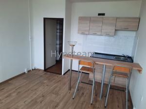 Pronájem bytu 1+kk, Ústí nad Labem - Ústí nad Labem-centrum, Hoření, 22 m2