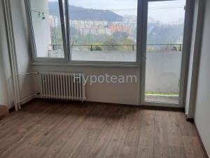 Pronájem bytu 1+kk, Ústí nad Labem - Ústí nad Labem-centrum, Hoření, 22 m2