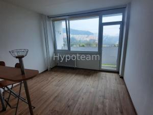 Pronájem bytu 1+kk, Ústí nad Labem - Ústí nad Labem-centrum, Hoření, 22 m2