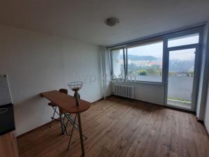 Pronájem bytu 1+kk, Ústí nad Labem - Ústí nad Labem-centrum, Hoření, 22 m2
