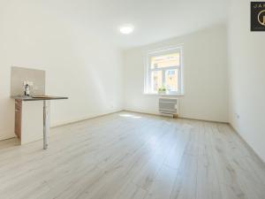 Prodej bytu 1+kk, Praha - Žižkov, V domově, 26 m2