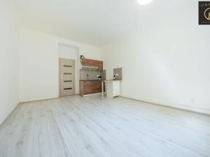 Prodej bytu 1+kk, Praha - Žižkov, V domově, 26 m2